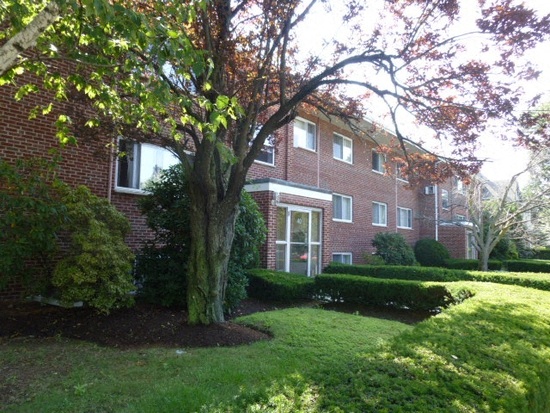 a large tree in front of a brick building